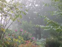 Flowers and garden sculpture seen in the mist