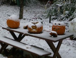 snow on the halloween pumpkins